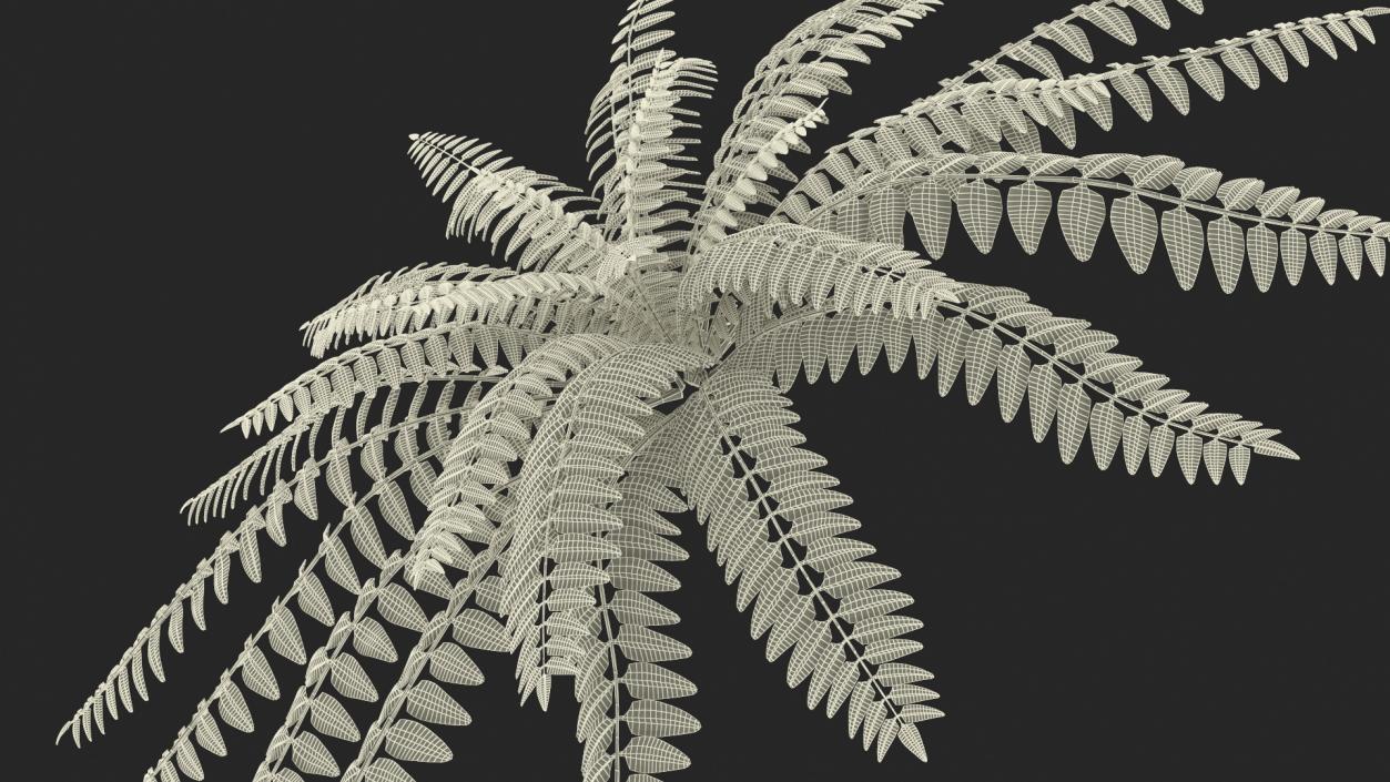 Realistic Tropical Fern Plant 3D model