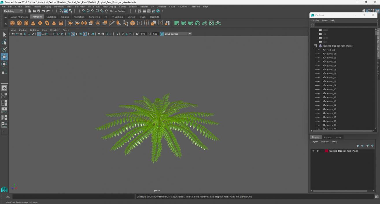 Realistic Tropical Fern Plant 3D model