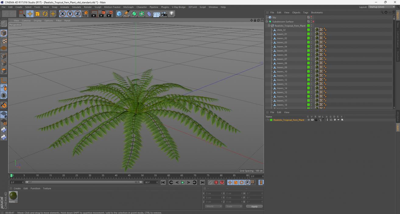 Realistic Tropical Fern Plant 3D model