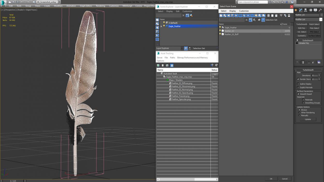 3D Eagle Feather model