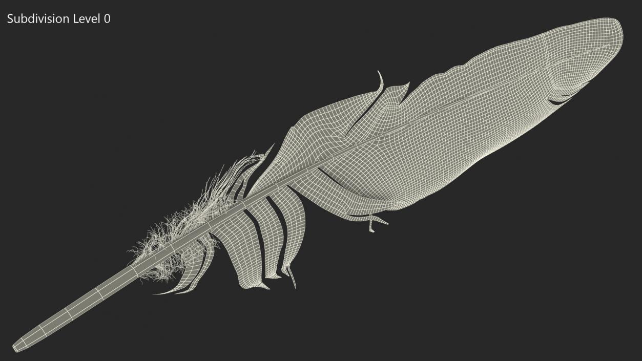 3D Eagle Feather model