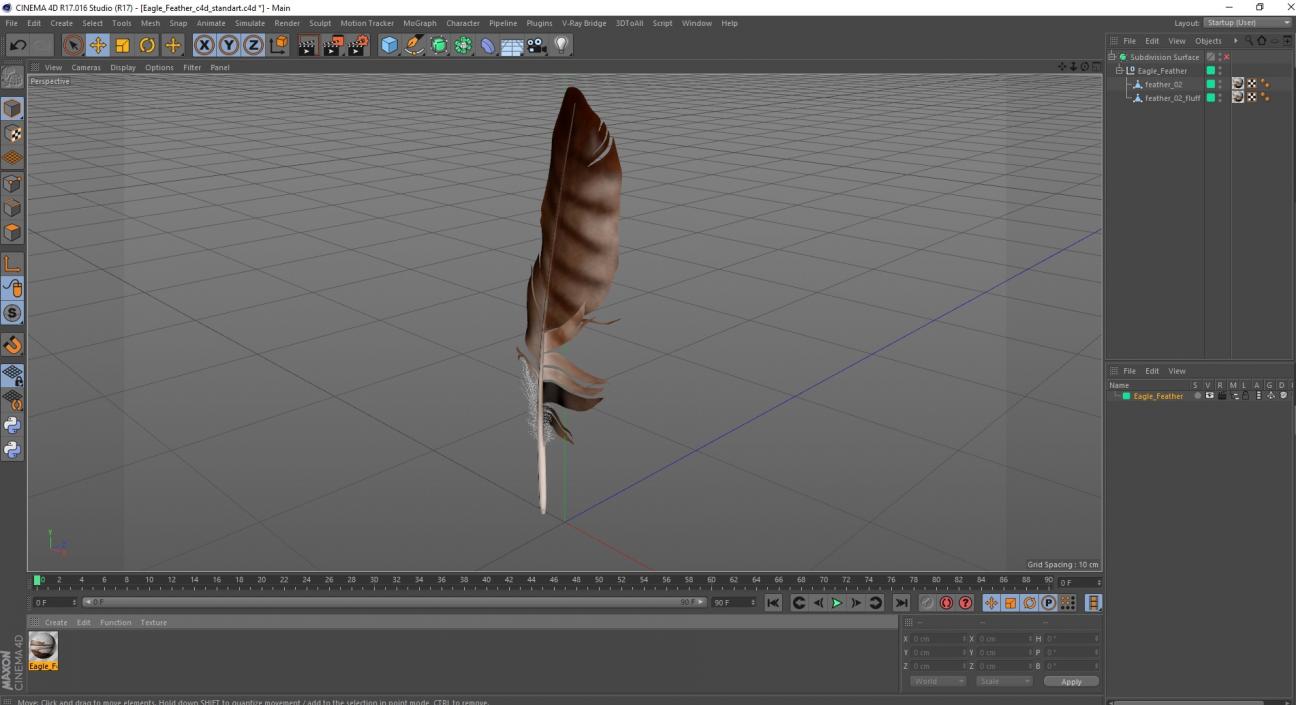 3D Eagle Feather model