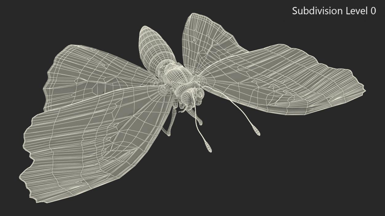 3D Animated Flight Red Admirable Butterfly Rigged