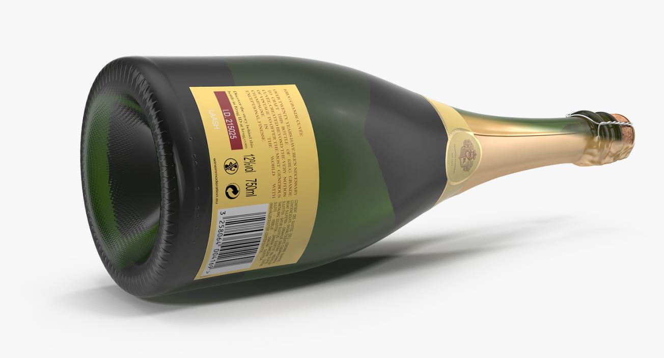 3D Champagne Bottle Krug