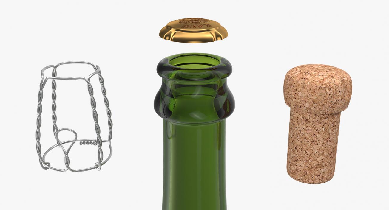 3D Champagne Bottle Krug