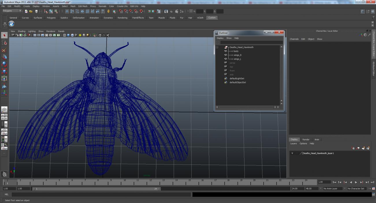 3D model Deaths Head Hawkmoth