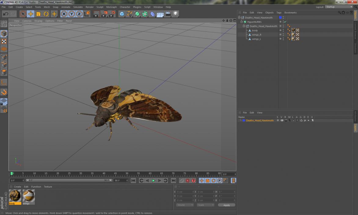 3D model Deaths Head Hawkmoth