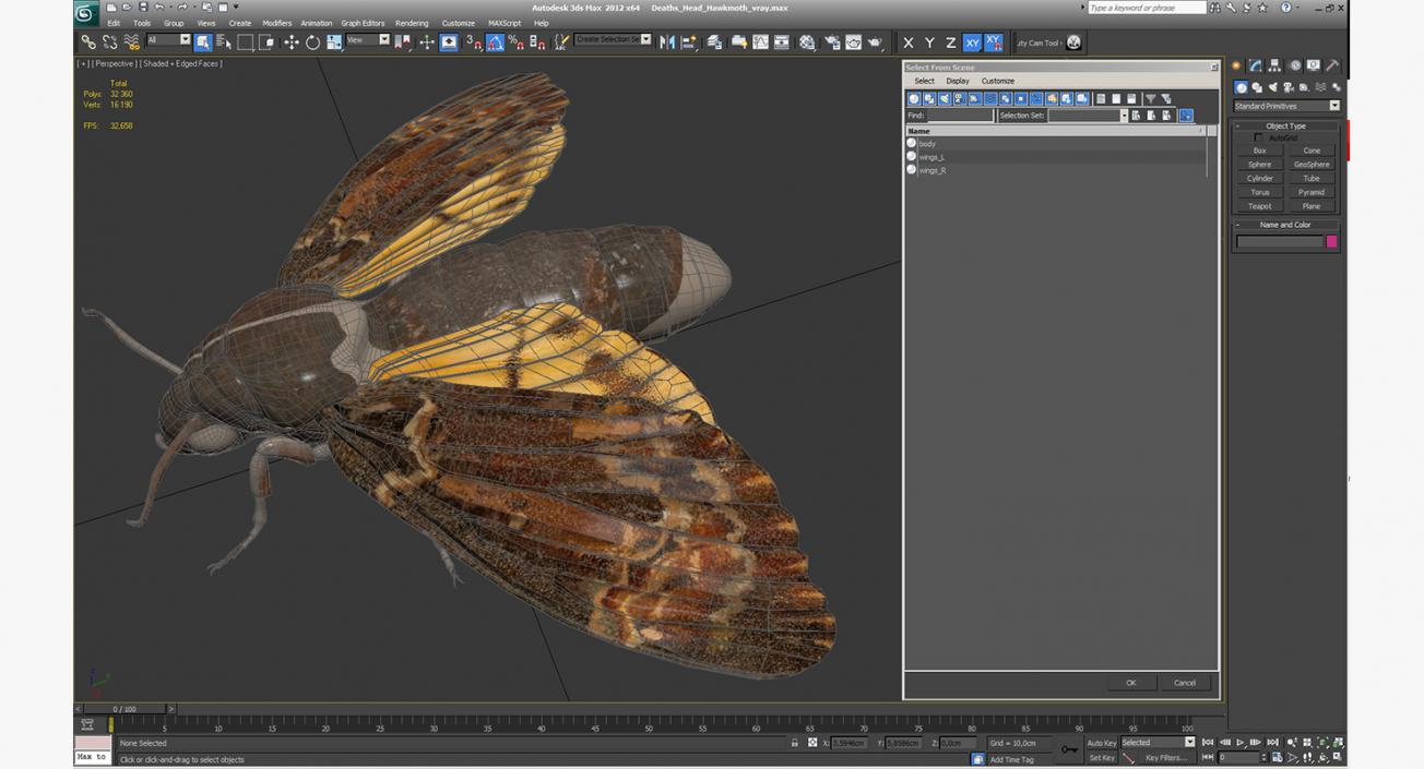 3D model Deaths Head Hawkmoth