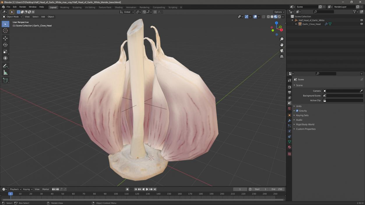 3D model Half Head of Garlic White