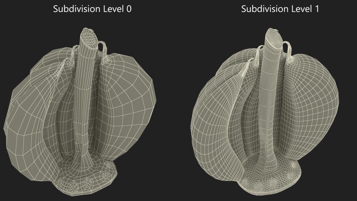 3D model Half Head of Garlic White