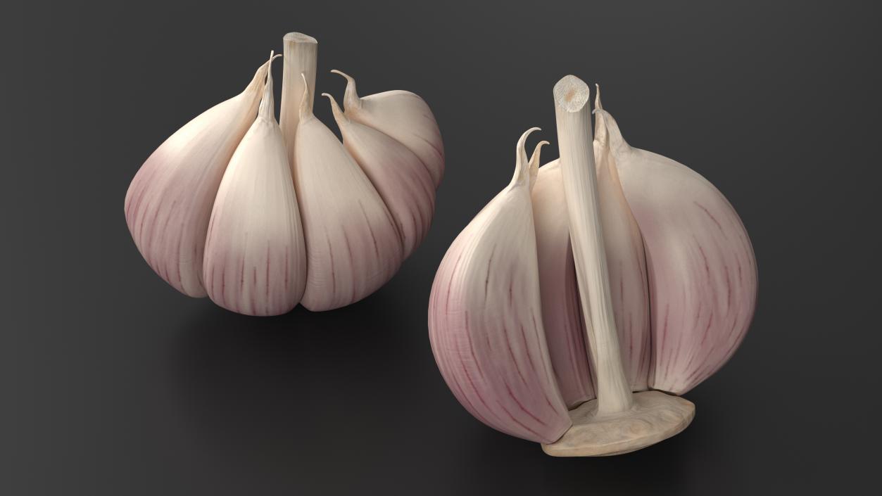 3D model Half Head of Garlic White