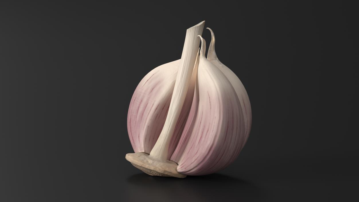 3D model Half Head of Garlic White