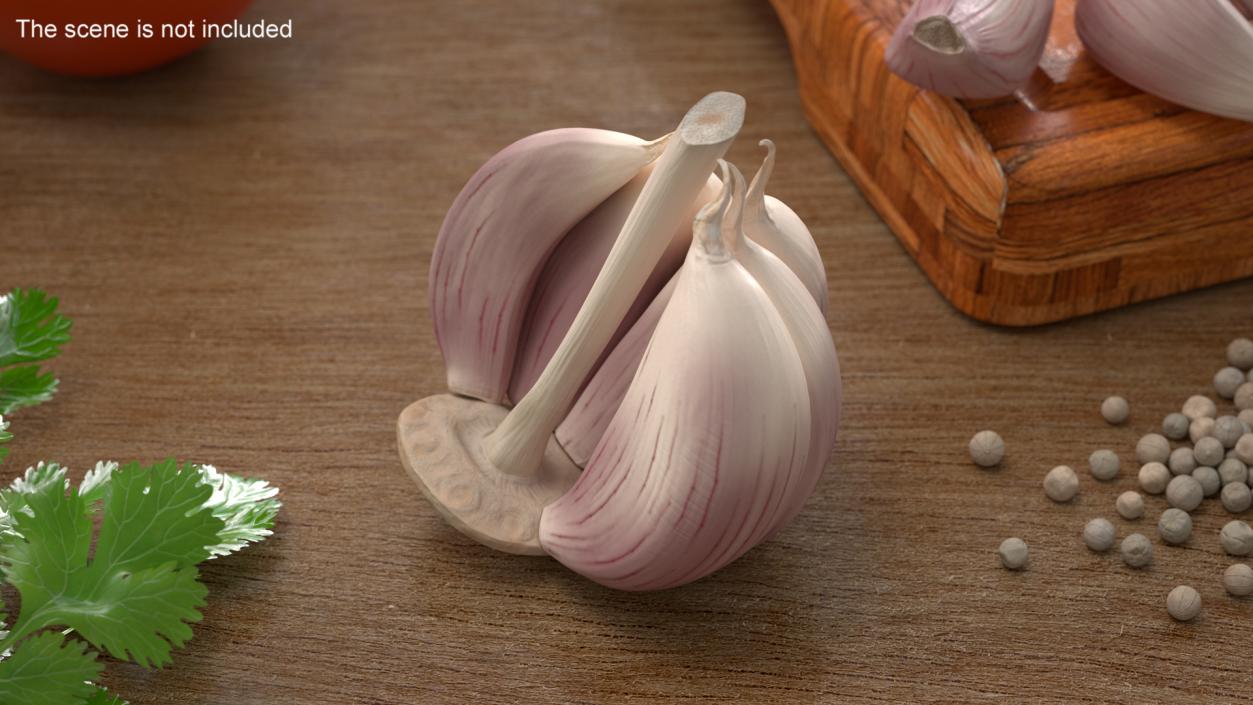 3D model Half Head of Garlic White