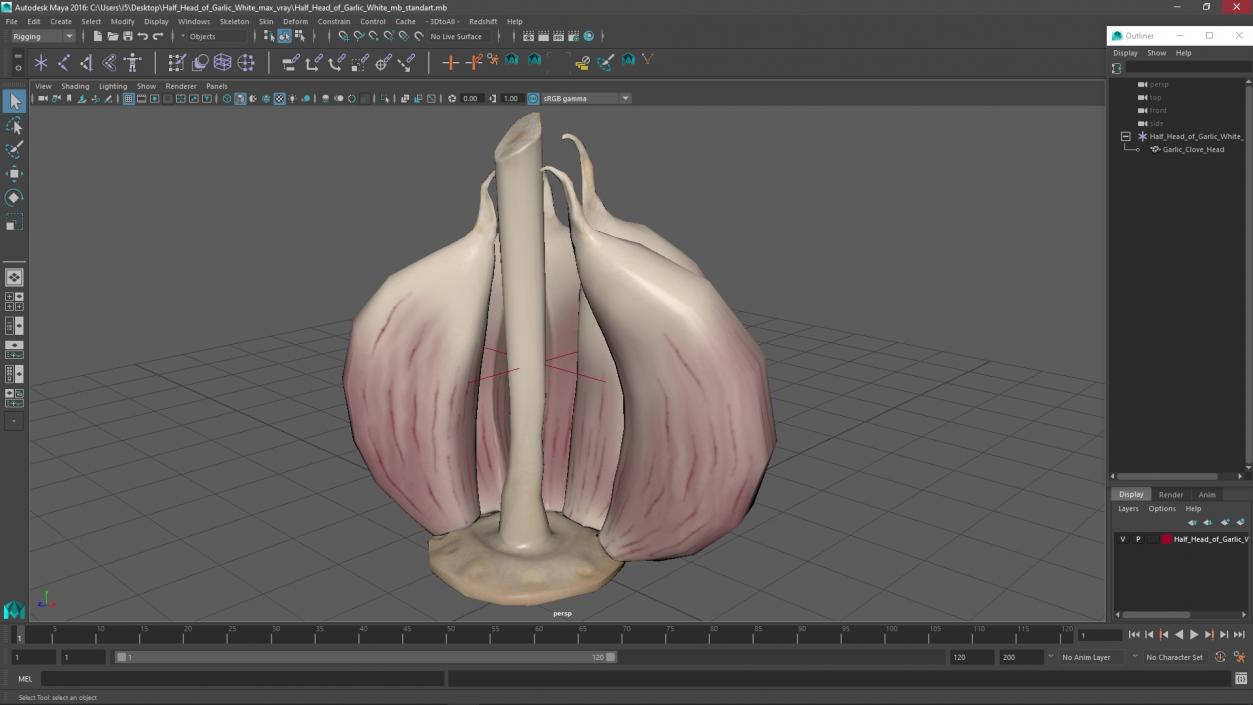 3D model Half Head of Garlic White