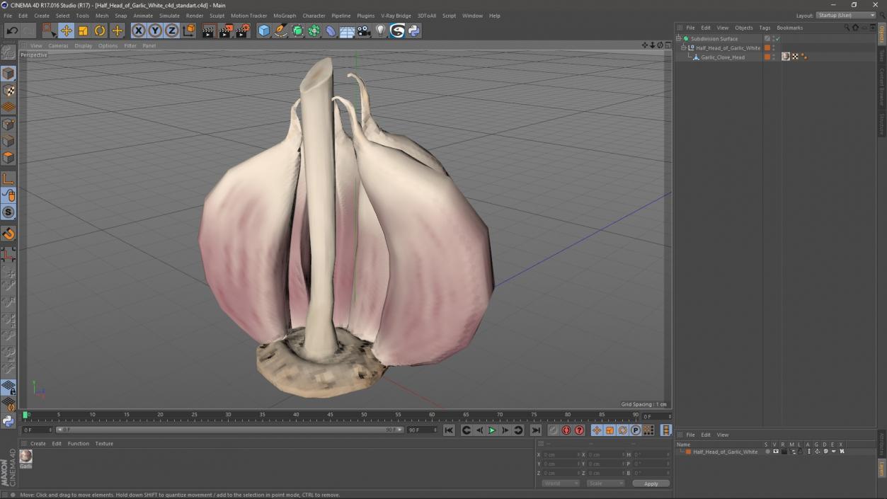 3D model Half Head of Garlic White