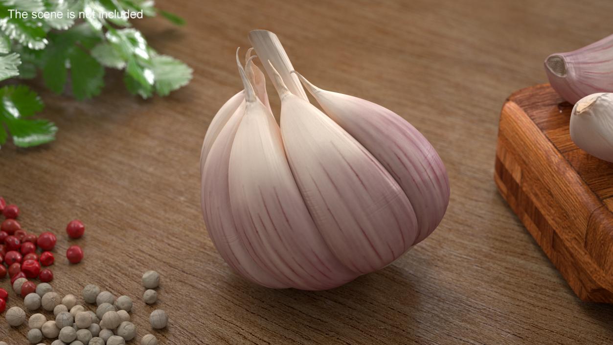 3D model Half Head of Garlic White