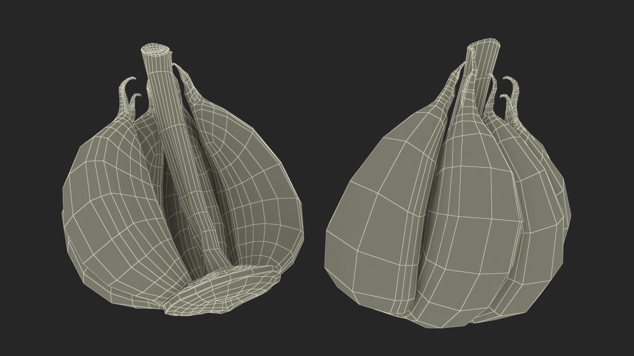 3D model Half Head of Garlic White