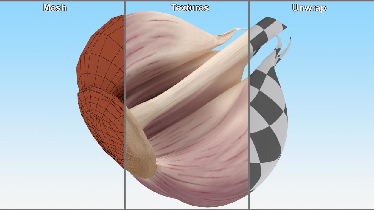 3D model Half Head of Garlic White