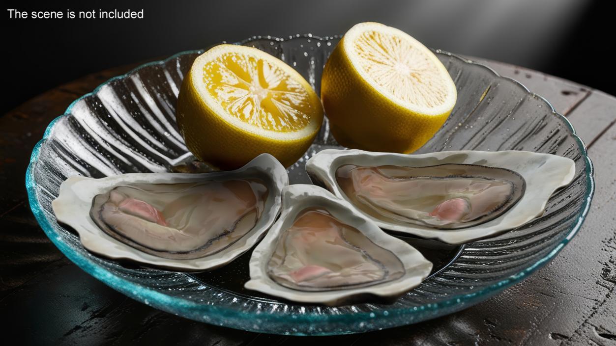 3D model Opened Oyster 2