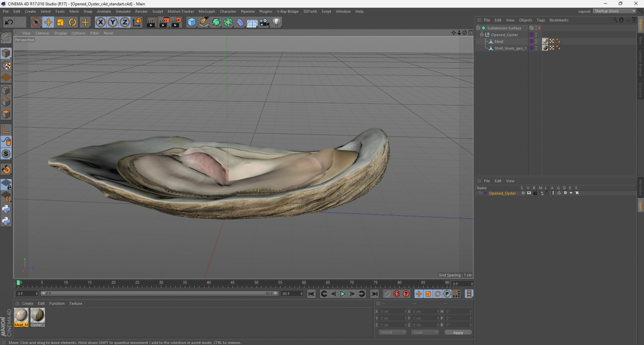 3D model Opened Oyster 2