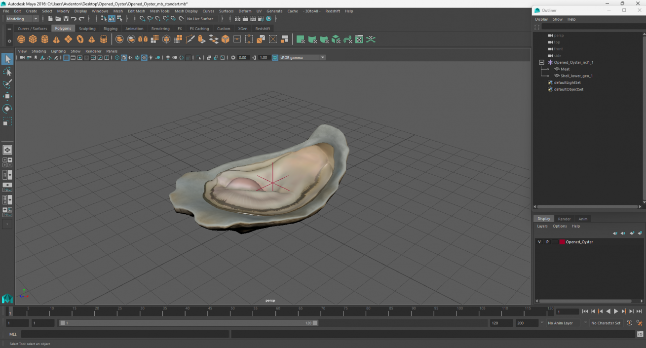 3D model Opened Oyster 2