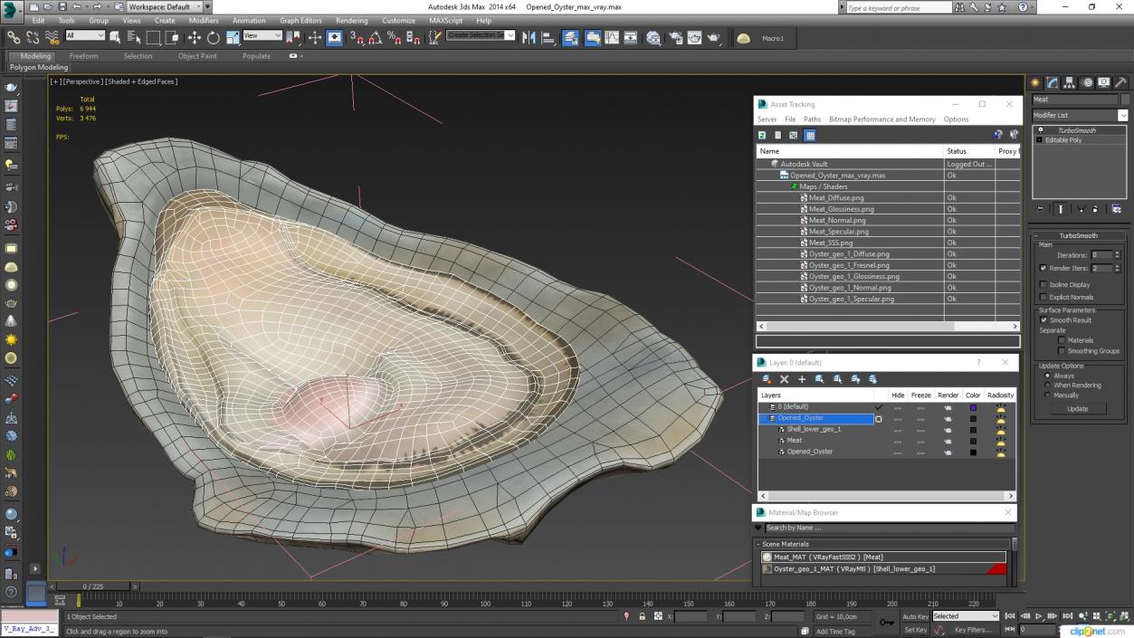 3D model Opened Oyster 2