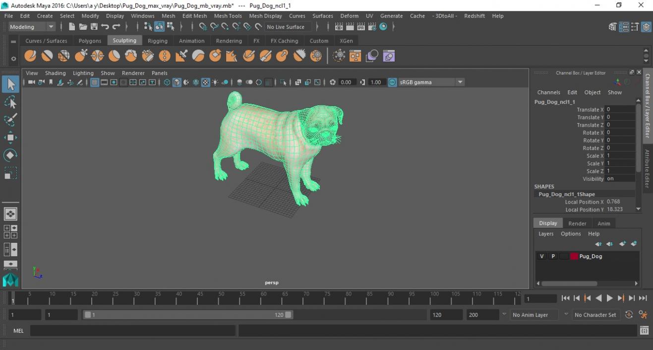 Pug Dog 3D model