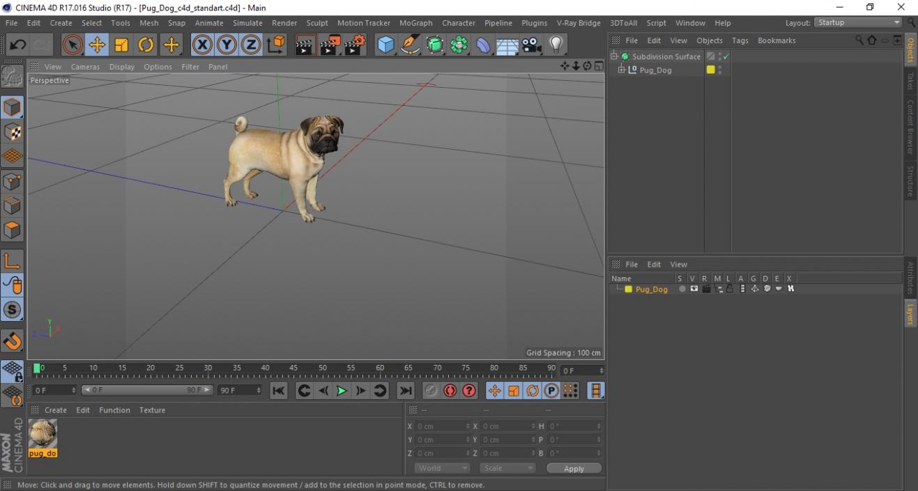 Pug Dog 3D model