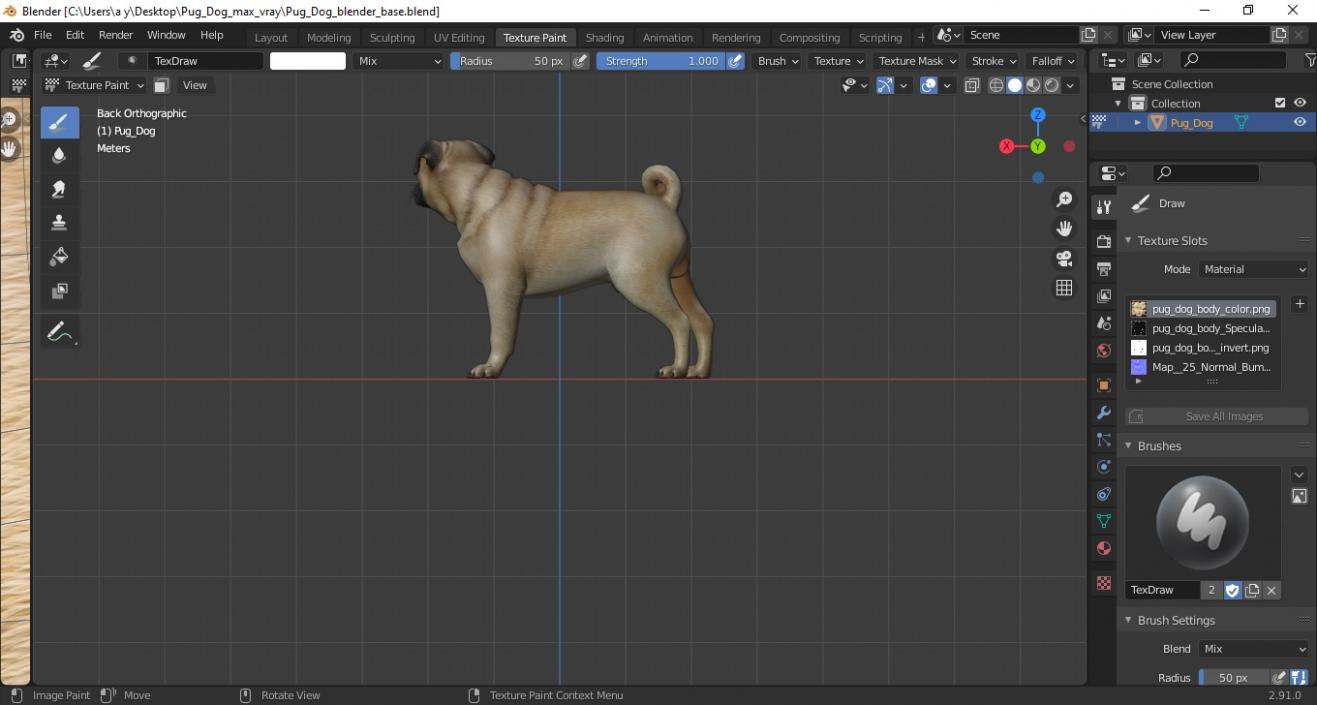 Pug Dog 3D model