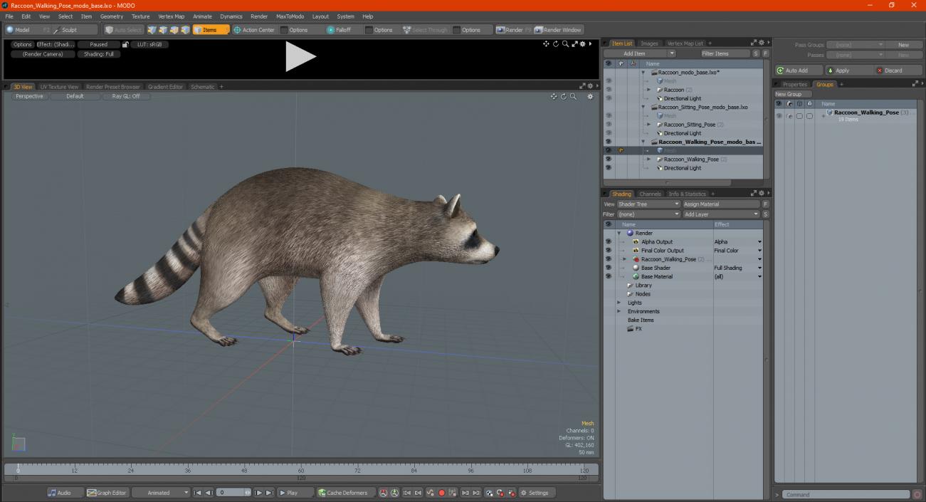 3D model Raccoon Walking Pose