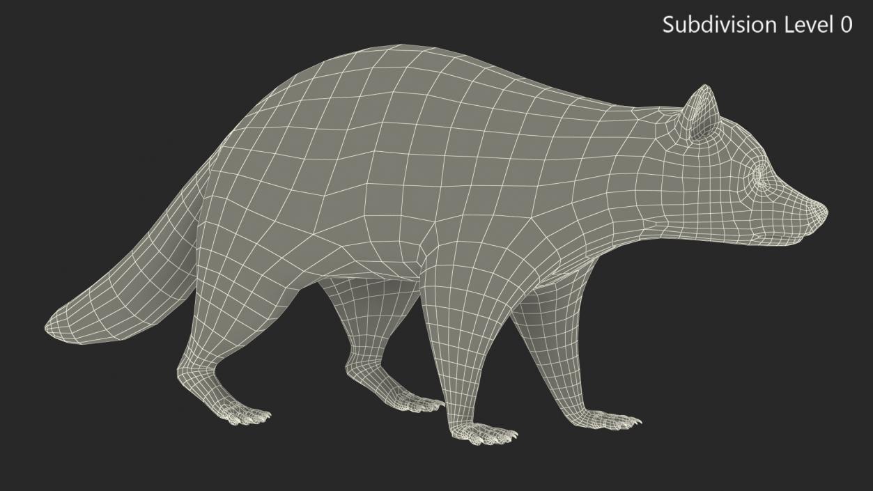 3D model Raccoon Walking Pose