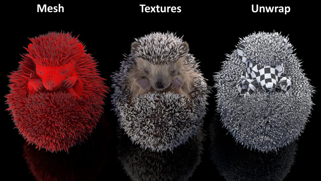 Sleeping Black Hedgehog Fur 3D