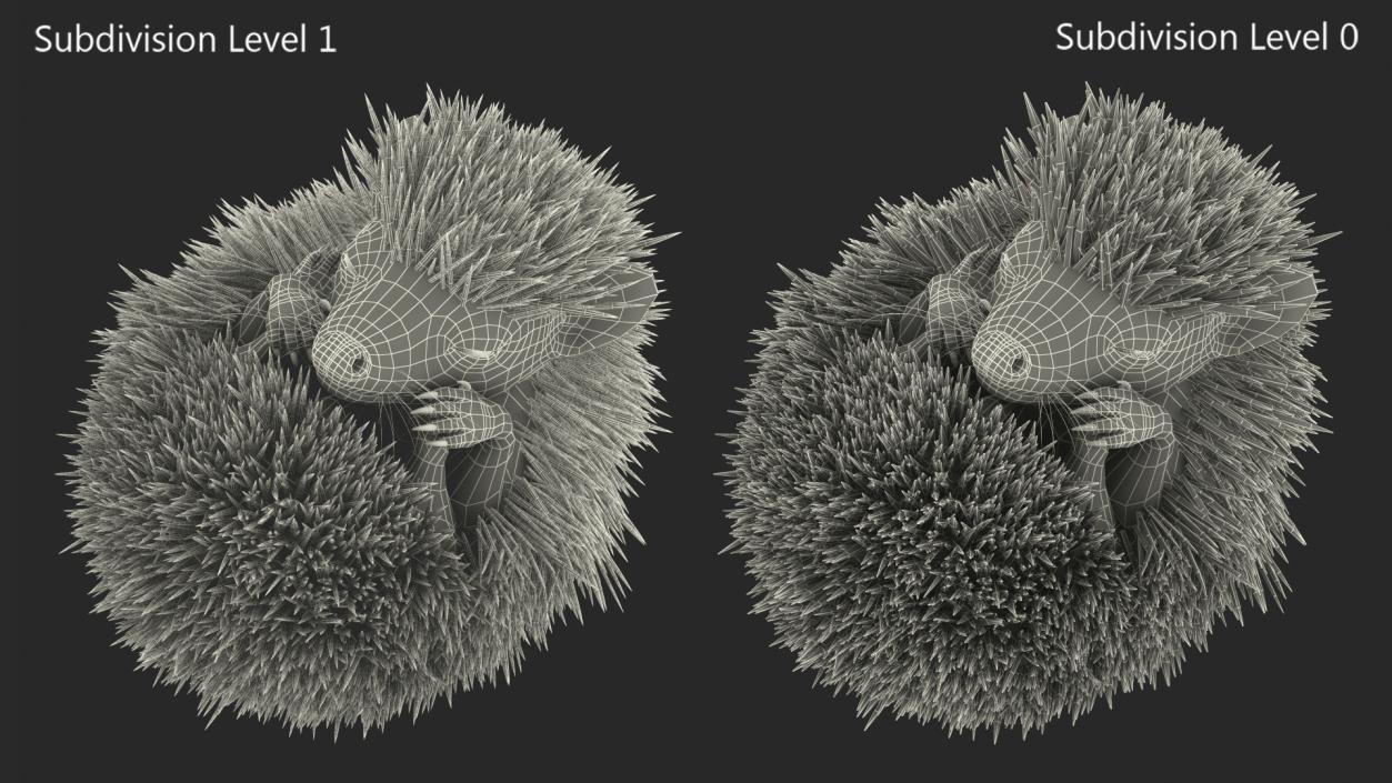 Sleeping Black Hedgehog Fur 3D