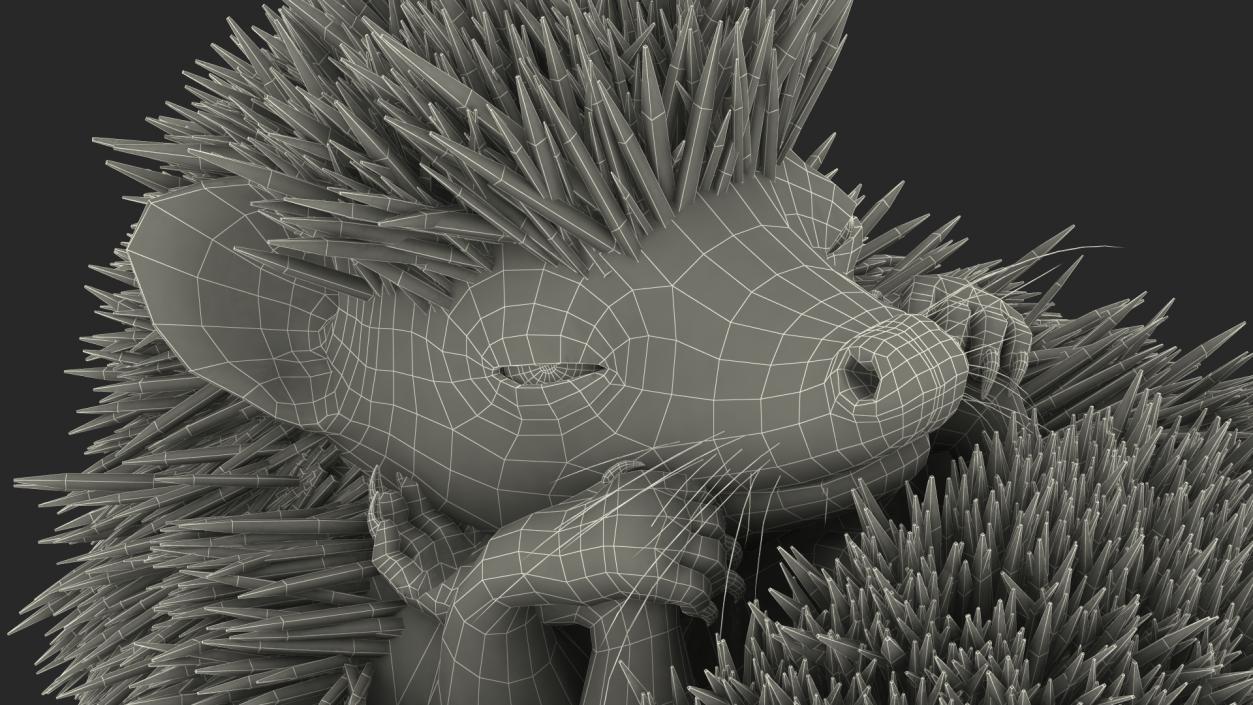 Sleeping Black Hedgehog Fur 3D