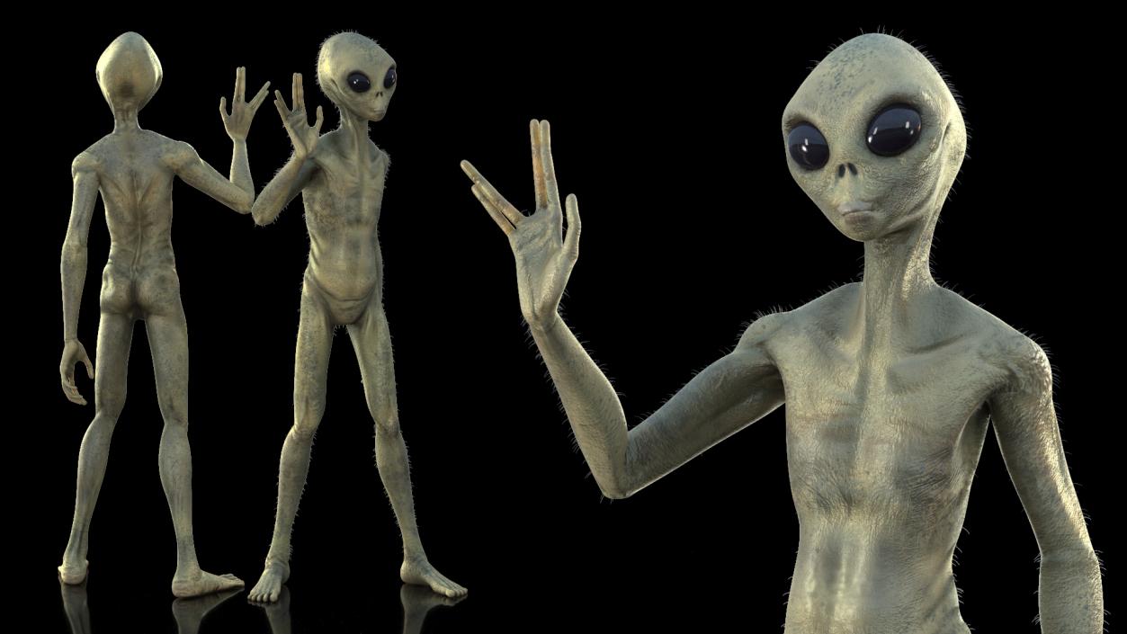 3D Humanoid Alien Creature Greeting Pose Fur