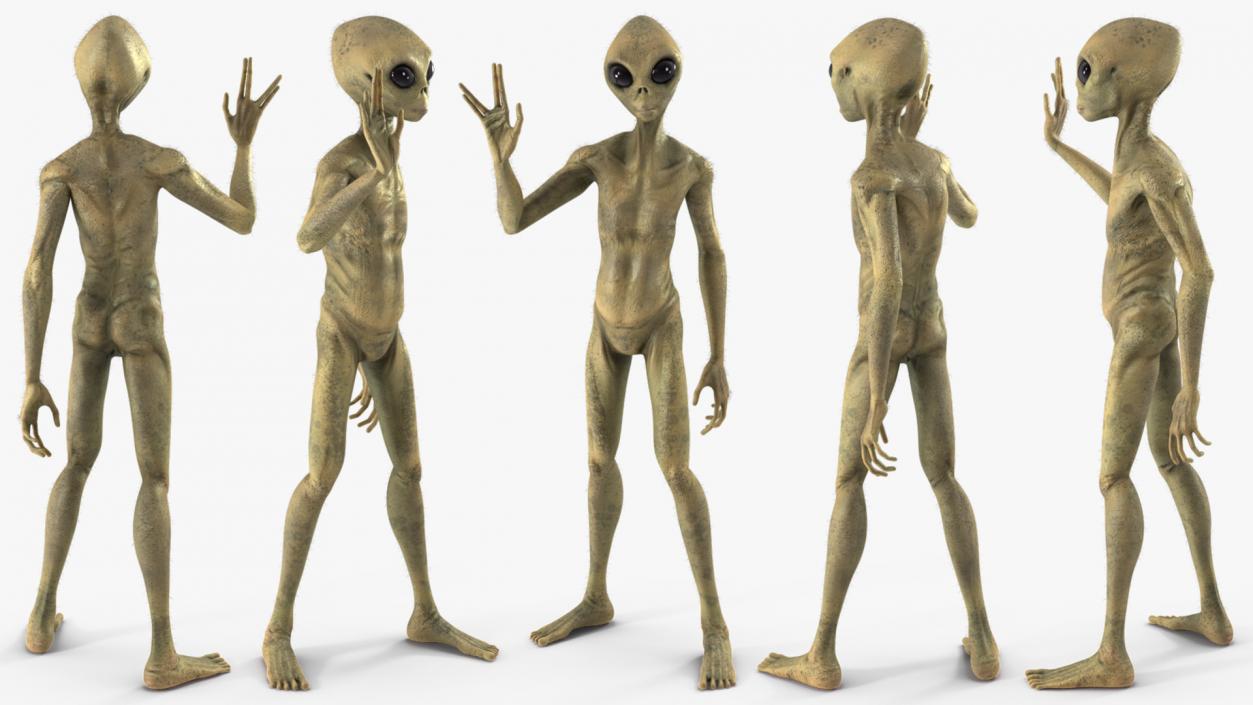 3D Humanoid Alien Creature Greeting Pose Fur