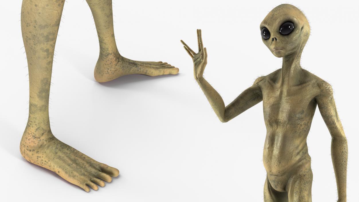 3D Humanoid Alien Creature Greeting Pose Fur