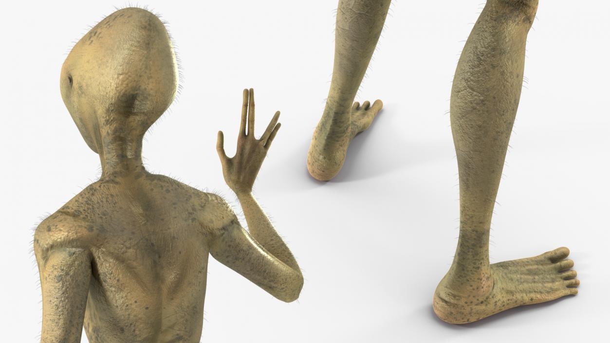 3D Humanoid Alien Creature Greeting Pose Fur