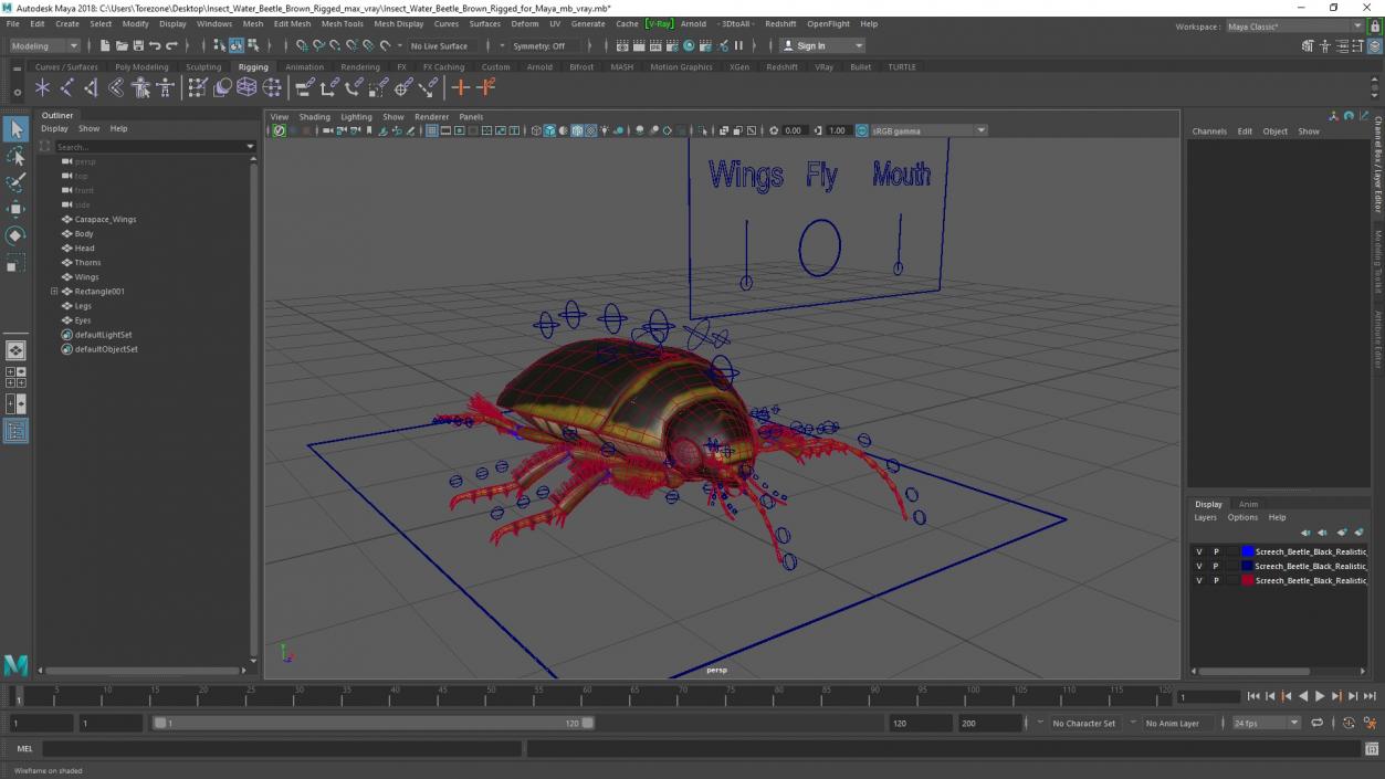 3D Insect Water Beetle Brown Rigged for Maya