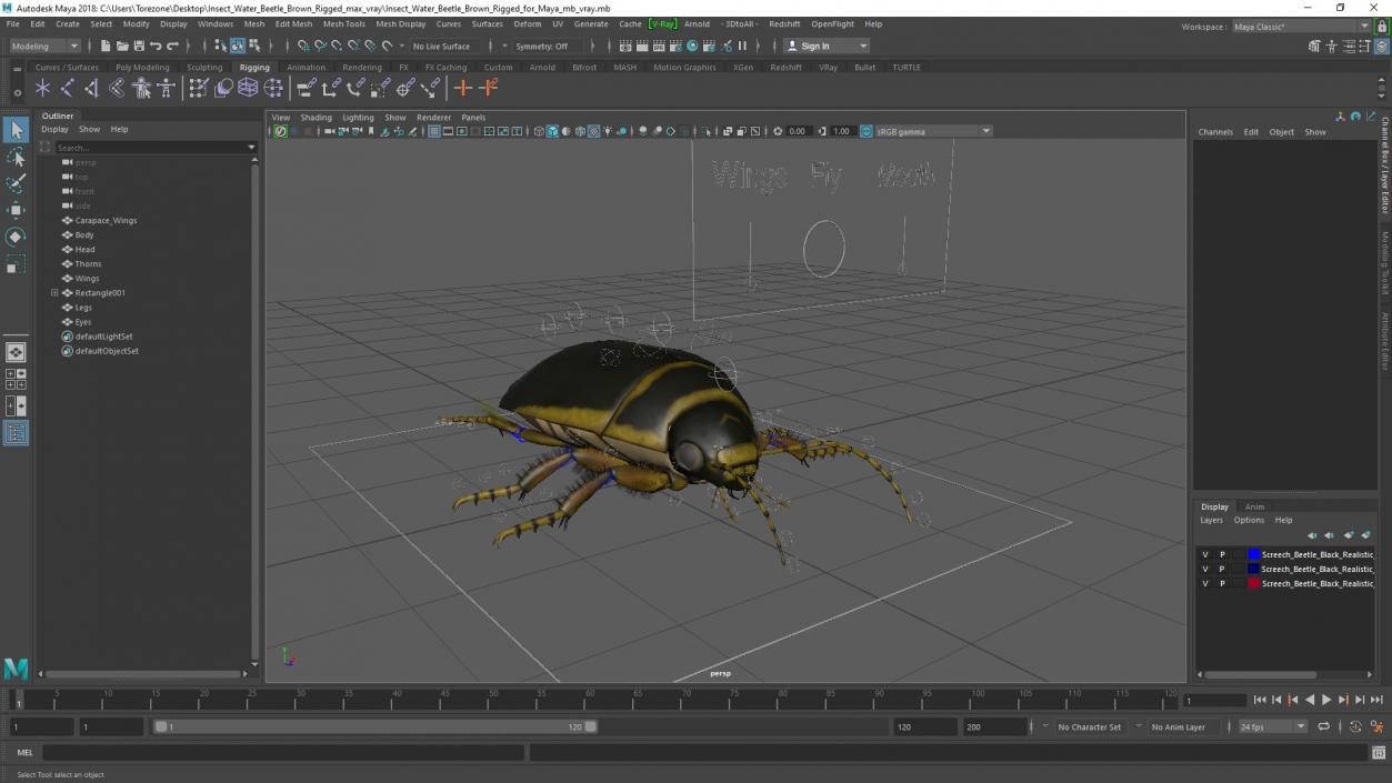 3D Insect Water Beetle Brown Rigged for Maya