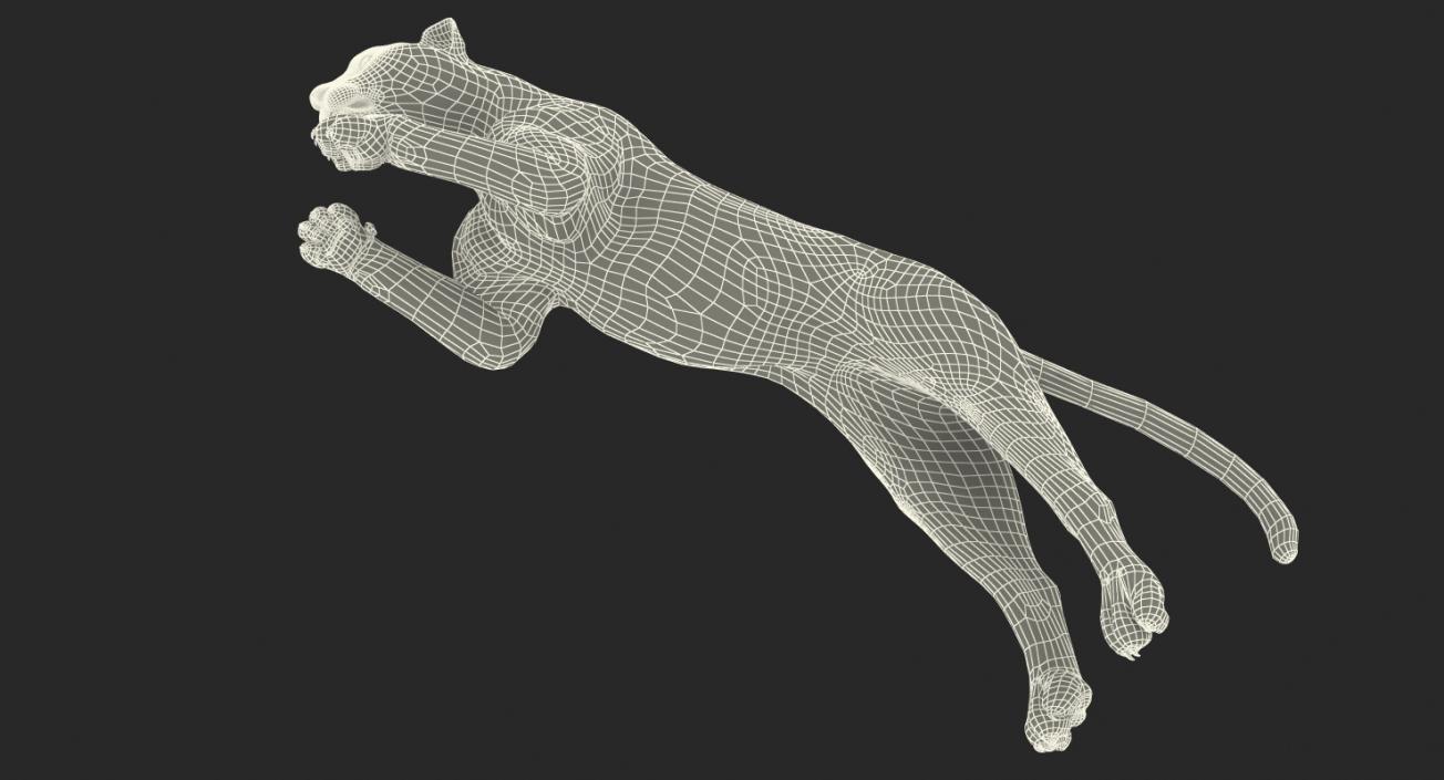 Panthera Pardus Jumping Pose with Fur 3D