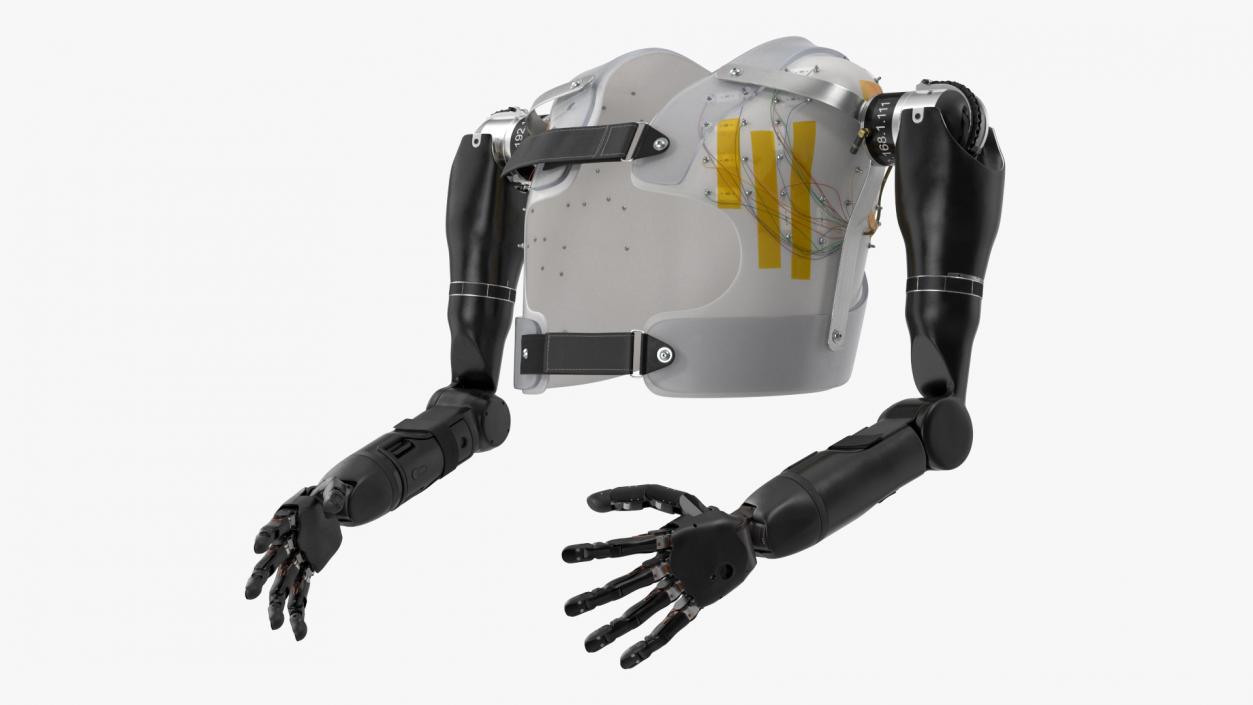 Modular Prosthetic Limbs 3D model