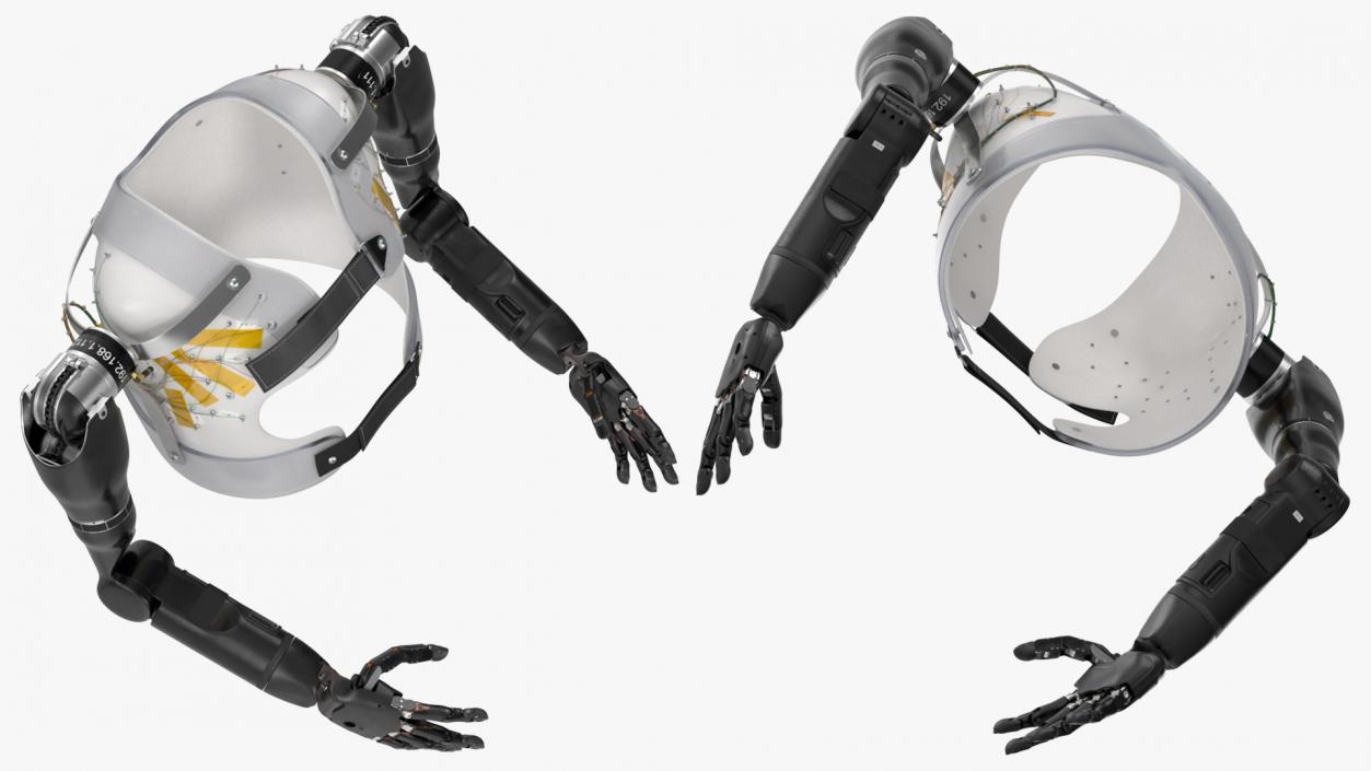 Modular Prosthetic Limbs 3D model