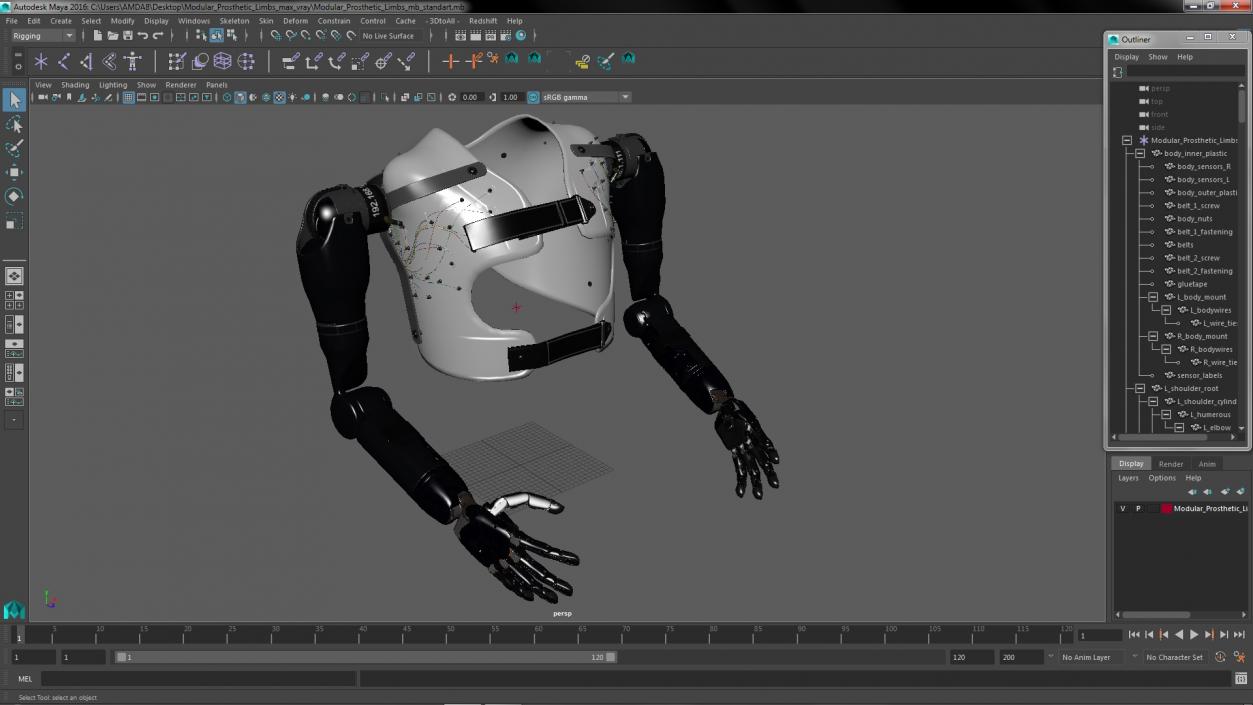 Modular Prosthetic Limbs 3D model