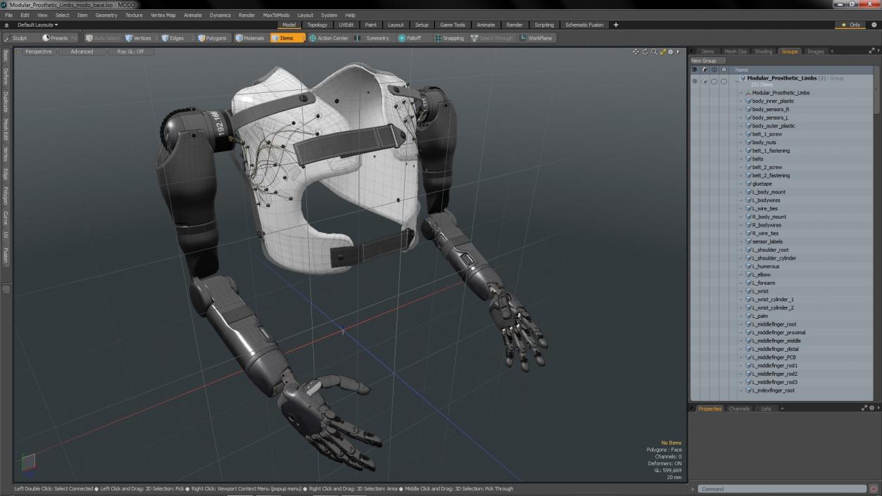 Modular Prosthetic Limbs 3D model