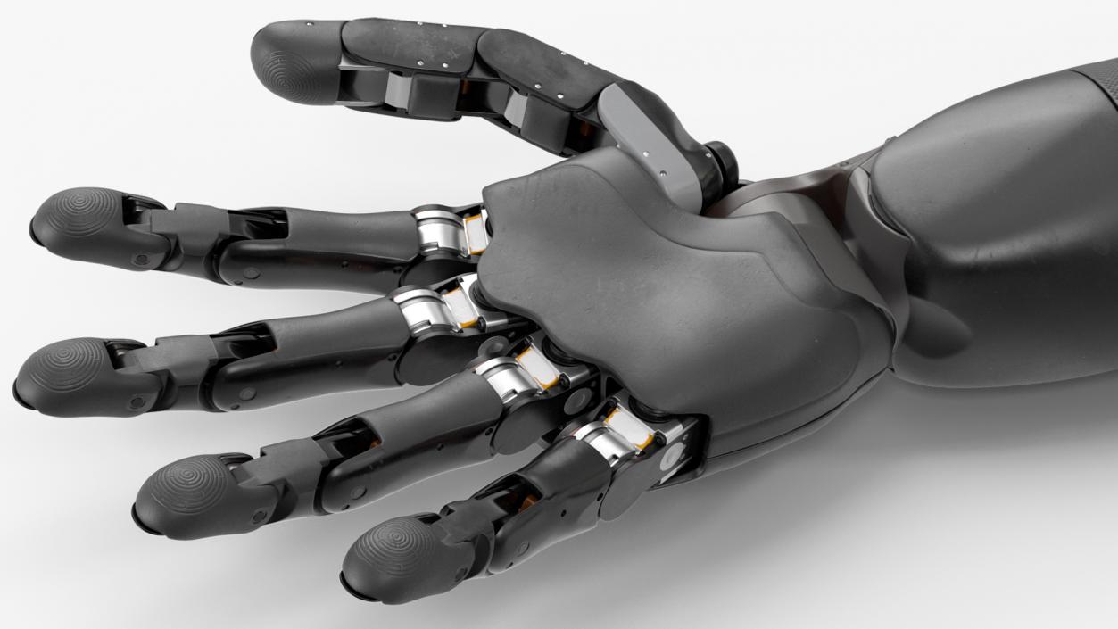 Modular Prosthetic Limbs 3D model