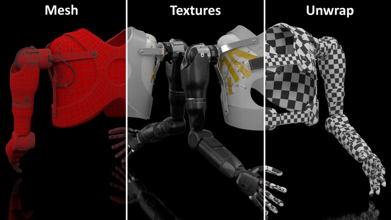 Modular Prosthetic Limbs 3D model