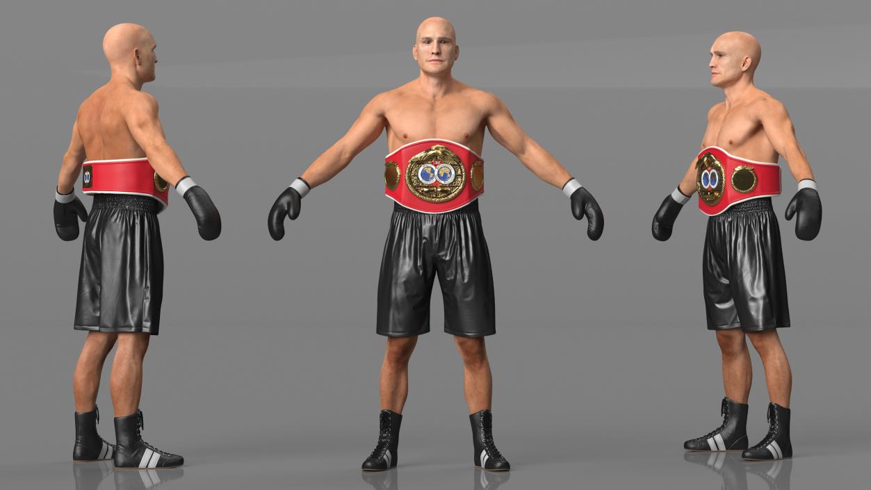 3D IBF Boxing Champion Rigged