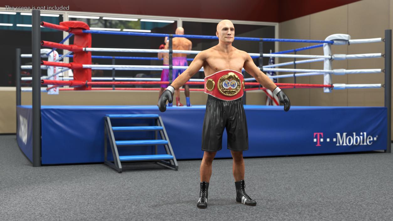 3D IBF Boxing Champion Rigged