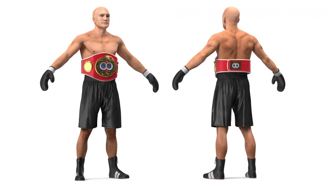 3D IBF Boxing Champion Rigged